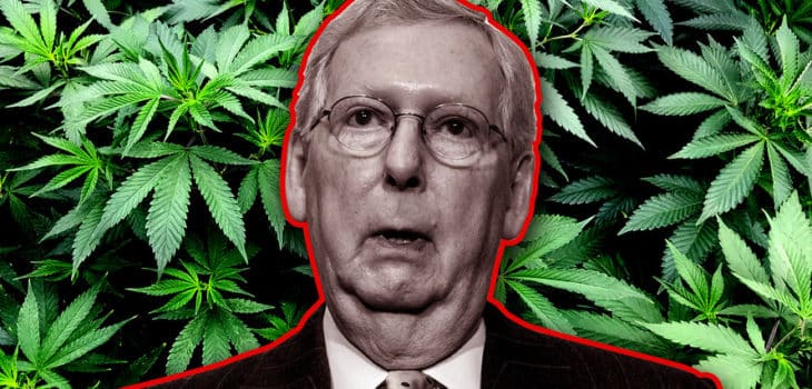 Mitch Mcconnell to Discuss Cannabis Reforms in Meetings With Industry Administrators